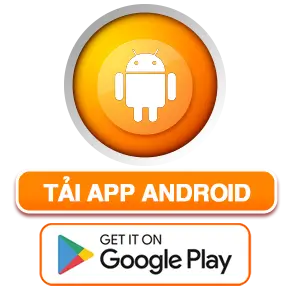 Trang chủ 18 imgi 111 95ae2bcba0b3c36ef2f304c2962a8cea